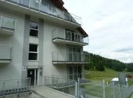 Apartament Czarna Góra