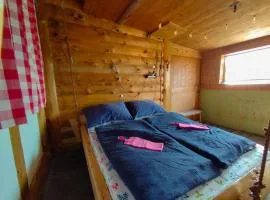 Hängebett im Stall