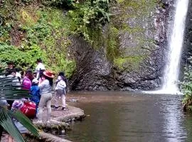 Complejo puma sacha las 7 cascadas