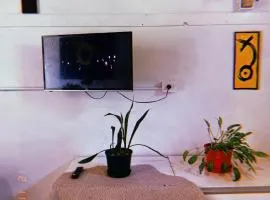 Departamento katzen