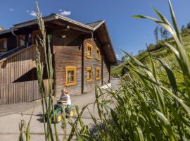Ferienwohnung Suntinger, Hotel in Mörtschach