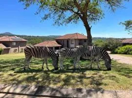 Wild Antelope on your doorstep!