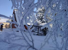 4Rest&Fun Krušné hory, chata v destinaci Klíny