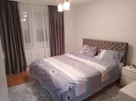 Apartman Milosavljević