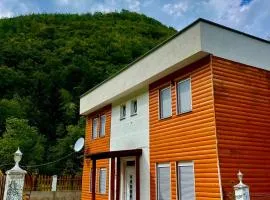 Villa Gryka