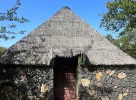 Finca de la Montaña - Cabaña