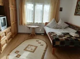 Agrouturistic House in Manastirea Humorului