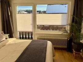 Pension Schmidt - Schwarzwaldnest - voll ausgestattetes Apartment