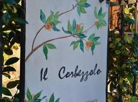 Il corbezzolo