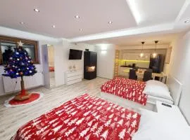 APARTAMENT Z KOMINKIEM Z WIDOKIEM na Jezioro Czorsztyńskie