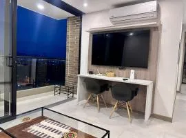 Luxury apartment with city view