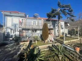 Vila Tradicionale Violeta Korce