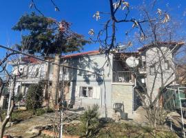 Vila Tradicionale Violeta Korce, villa in Korçë