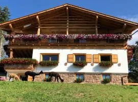 B&B Belvedere
