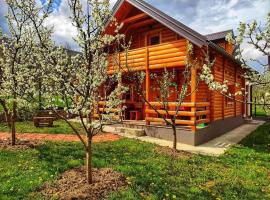Holiday cottages with pool, hotel v destinaci Plav