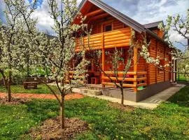Holiday cottages with pool