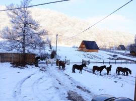 VIKENDICA NOLE Jahorina, hotel v destinaci Pale