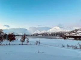 Marvelous farmhouse with amazing fjord and mountain view in Northern Norway