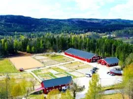 Come to stay at our beautiful Horse Farm!