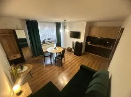 Apartament Mączyńskiego