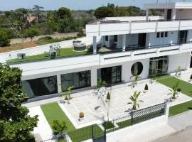Attico Petrelli