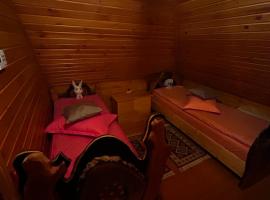 Satul lui Traian、Rohiaのホテル
