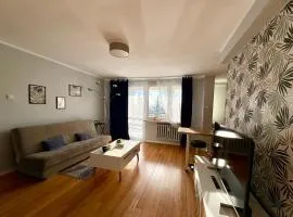 Apartament z widokiem na Spodek