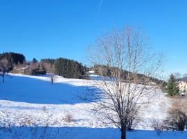 Le Petit Sapin, hotel in Xonrupt-Longemer