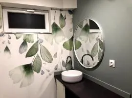 Petit loft entre Strasbourg et campagne