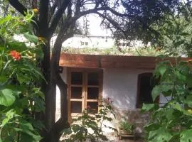 Remanso del Citon