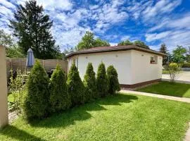 Villa in Doksy with barbecue