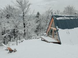 A-frame Forest Nest, chalupa v destinaci Cerklje na Gorenjskem