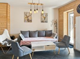 Chalet les Estives au pied des pistes, le lioran, terrasse, 2 chambres, 4 lits, hotel v destinaci Laveissière