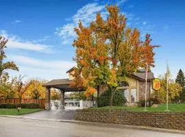 Super 8 by Wyndham Auburn