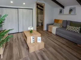 El Carmen Valencia, apartamento estudio con terraza