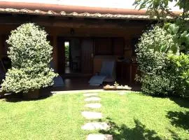 Per non andare più via