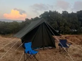 Mahabaleshwar Tent camping