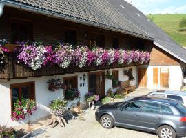 Biobetrieb Lippenhof, agroturismo en Breitnau