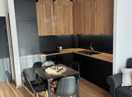Apartament Berlin