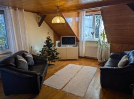 Family Apartman by Budapest, hotel v destinaci Göd