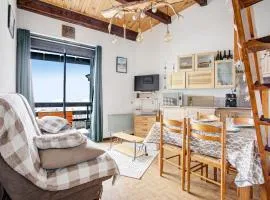 La Singlantane - Duplex vue montagne aux Angles