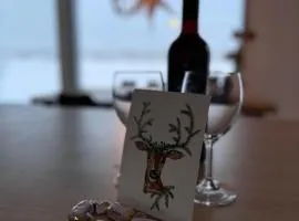 Villa Lapland reindeer farm