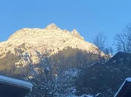 Casa Vegana, 3,5 Zi Wohnung, 5 PL, 2 Bäder