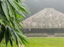 Bamboo Grove