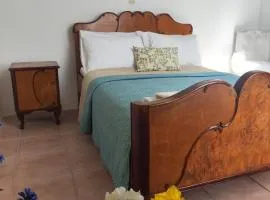 Casa Violeta by 8essentially