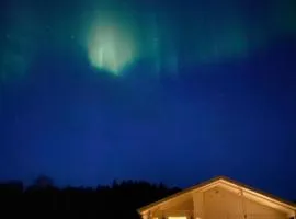Brygghaugen, middle of Senja