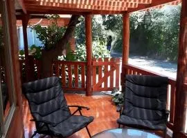 Cabaña la Araucaria
