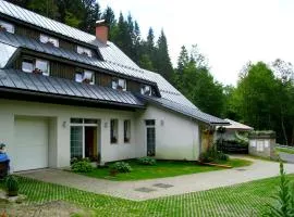 Penzion U Kocoura