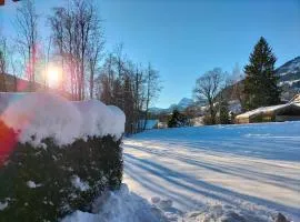 Studio pour 4 avec terrasse plein pied, coin montagne, vue montagne & nature à Praz sur Arly