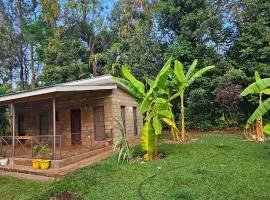 Kisarika camps and lodges